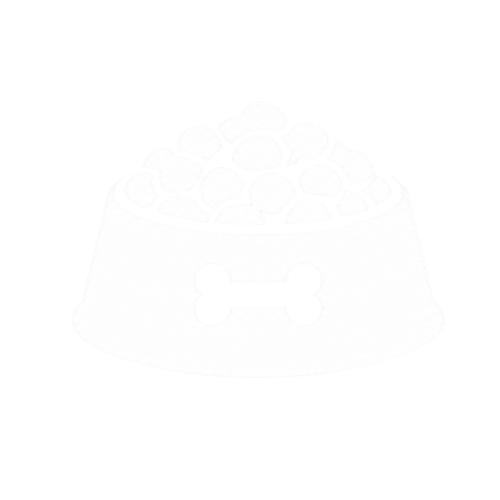 狗粮