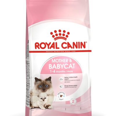 Royal Canin - Cat Food - Mother & Babycat