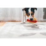 P.L.A.Y. Dog Toy - Hot Diggy Dog - XSmall