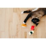 P.L.A.Y. 猫咪玩具 - 俏皮寿司