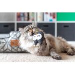 P.L.A.Y. 猫咪玩具 - 智慧猫头鹰