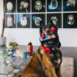 P.L.A.Y. Dog Toy - Joystick