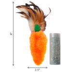 KONG 猫玩具 - 可填充羽毛顶部胡萝卜猫玩具