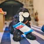 P.L.A.Y. Dog Toy - Fluffles Chips