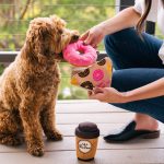 P.L.A.Y. Dog Toy - Donut