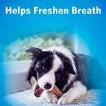 Purina Dentalife 每日口腔护理 - 中小型犬零食 7盎司