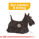 Royal Canin Dog Wet Food - Dermacomfort Adult Dog (Loaf) 85G