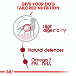 皇家犬粮湿粮 - 中型成年犬（肉汁）140克