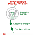 Royal Canin Dog Wet Food - Mini Adult Dog (Gravy) 85G