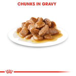 Royal Canin Dog Wet Food - Mini Adult Dog (Gravy) 85G
