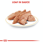Royal Canin Dog Wet Food - Poodle Adult Dog (Loaf) 85G