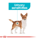 Royal Canin Dog Wet Food - Urinary Care Adult Dog (Loaf) 85G