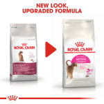 Royal Canin - Cat Food - Feline Preference Aroma Exigent Adult Cat