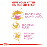 Royal Canin - Cat Food - Maine Coon Kitten 10KG