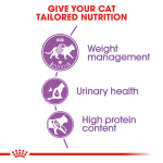 Royal Canin - Cat Food - Regular Sterilised Adult Cat