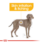 Royal Canin - Dog Food - Maxi Dermacomfort Adult