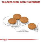 Royal Canin - Dog Food - Mini Dermacomfort Adult