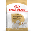 West Highland White Terrier Adult