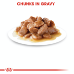 Royal Canin Adult Cat Wet Food - Instinctive Cat (Gravy) 85G