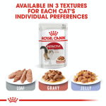 Royal Canin Adult Cat Wet Food - Instinctive Cat (Gravy) 85G