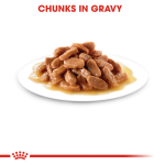 Royal Canin Kitten Wet Food - Kitten (Gravy) 85G