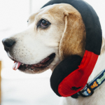 P.L.A.Y. 狗狗玩具 - 嚎叫猎犬耳机