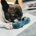 P.L.A.Y. Dog Toy - Pucci's Sandal