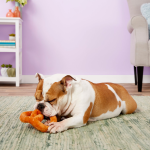 P.L.A.Y. Dog Toy - Poochie Pretzel