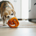 P.L.A.Y. Dog Toy - Poochie Pretzel