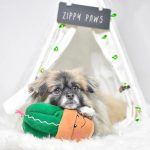 ZippyPaws 狗玩具 - 卡门仙人掌