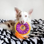 ZippyPaws Dog Toy - Donutz - Grape Jelly