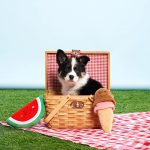 ZippyPaws Dog Toy - NomNomz® - Ice Cream