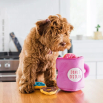 ZippyPaws 狗狗玩具藏食系列 - 咖啡与甜甜圈