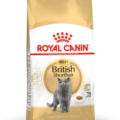 Royal Canin - Cat Food - British Shorthair Adult Cat