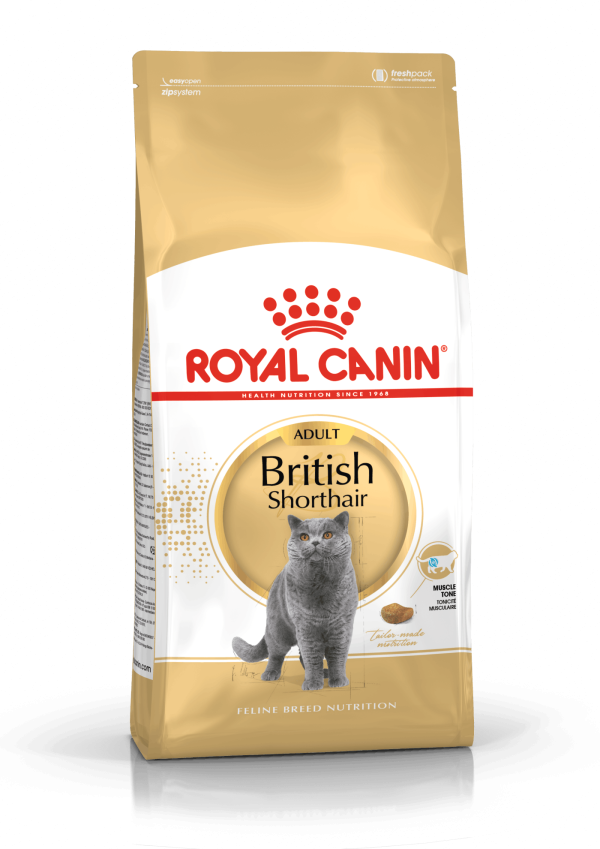 皇家猫粮 - 英国短毛猫成猫粮