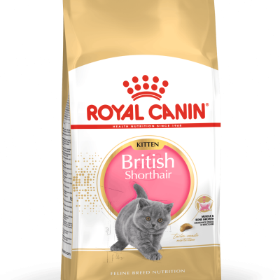 Royal Canin - Cat Food - British Shorthair Kitten