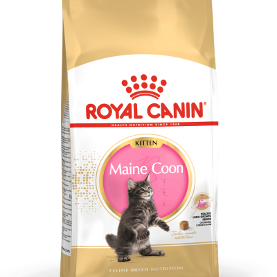 Royal Canin - Cat Food - Maine Coon Kitten 10KG