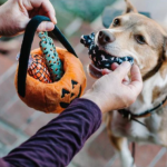 P.L.A.Y. Dog Toy - Howl-o-ween Treat Basket