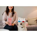 P.L.A.Y. 狗狗玩具 - 3D眼镜
