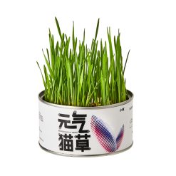 PETKIT 元氣貓草罐